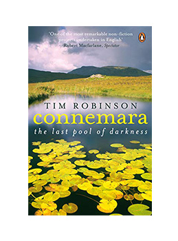Connemara the Last Pool of Darkness